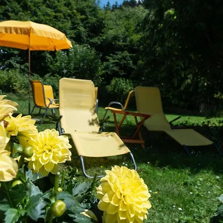 Alpehytte Chalet Le Petit Tremplin Leysin